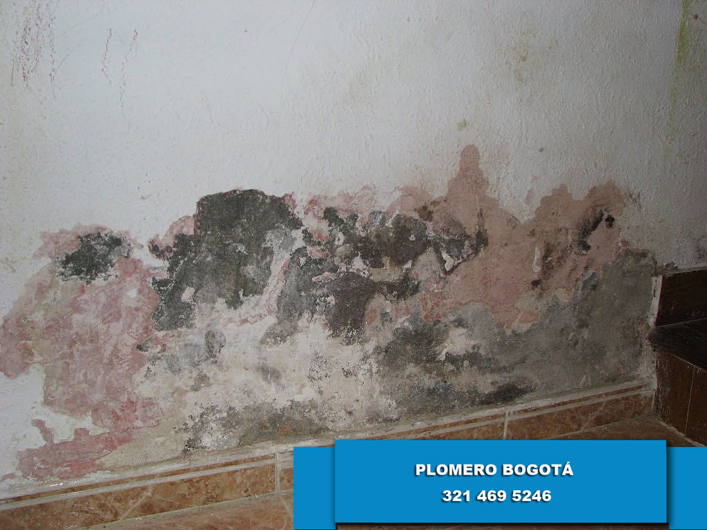 Reparacioón de Filtraciones Agua en Bogotá reparacioón de Filtraciones Agua